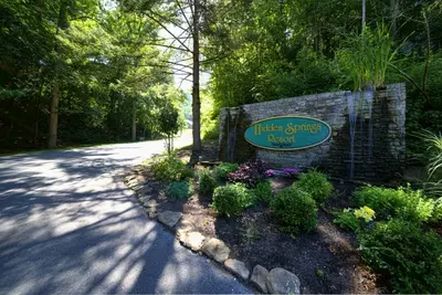 Dancing Bears Den 17