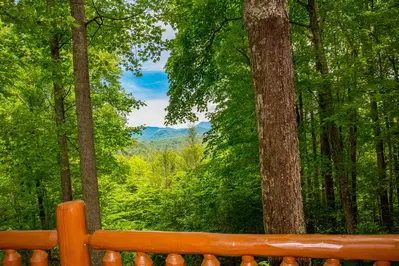 Mountain Top Dream 16