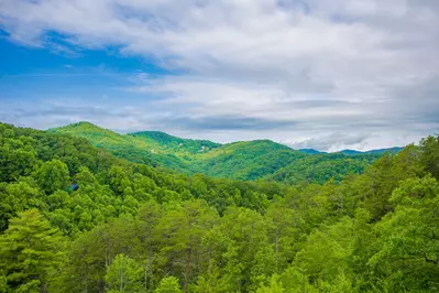 Paradise View In The Smokies 46