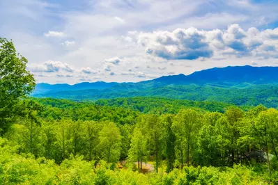 A Beautiful Gatlinburg Dream 13