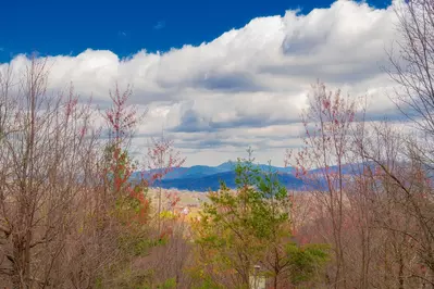 Hilltop Bearadise 29