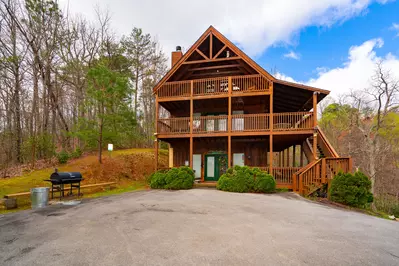 Hilltop Bearadise 31
