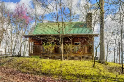 Honey Bear Hideaway 22