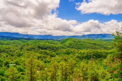 A Smoky Mountain Dream 26