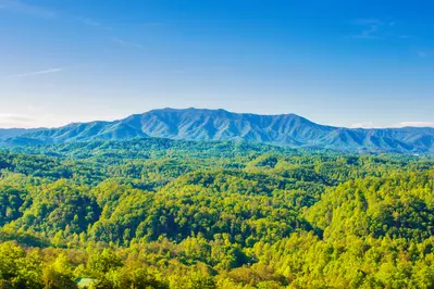 A Smoky Mountain Dream 27