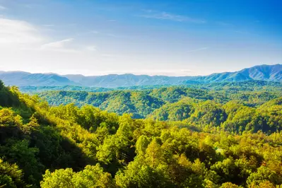 A Smoky Mountain Dream 28