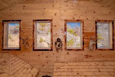 Cowboys Trail 16