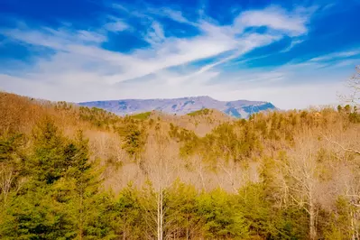 Blissful Retreat 38