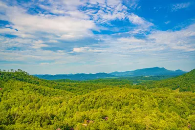 High On The View 17
