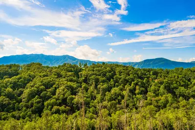 A Gatlinburg Heavenly View 21