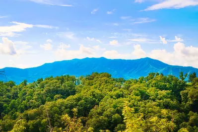 A Gatlinburg Heavenly View 25