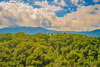 A Gatlinburg Heavenly View 44