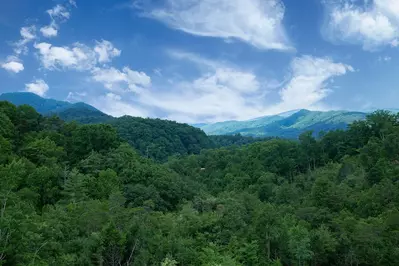 Cave Mountain Lodge 71