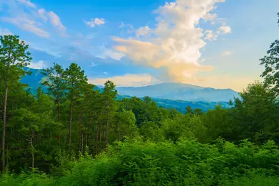 Gatlinburg Mountain Romance 28