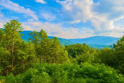 Gatlinburg Mountain Romance 29