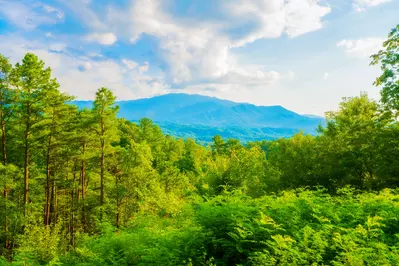 Gatlinburg Mountain Romance 30