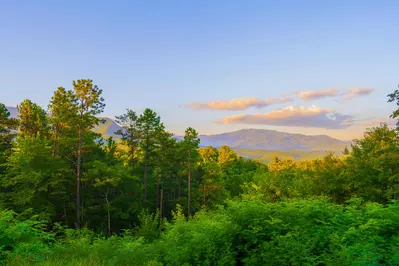 Gatlinburg Mountain Romance 31