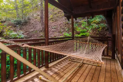Gatlinburg Dream 12