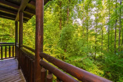 Gatlinburg Dream 14