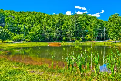 Hickory Hollow Retreat 41