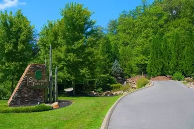 BearFootin In The Smokies 29