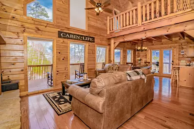 Chubby Bear Lodge 8