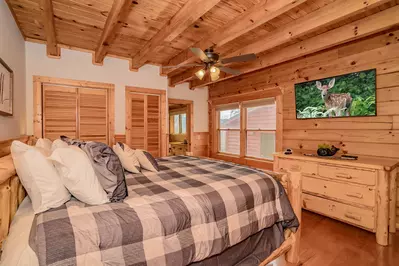 Chubby Bear Lodge 16