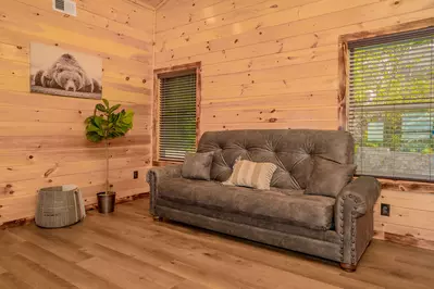 Rustic Mountain View 20