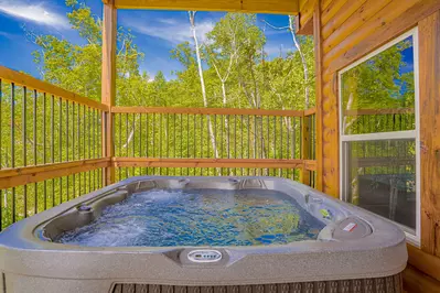 Rustic Mountain View 31