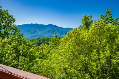 Ski View Getaway 20