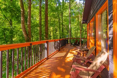 Treetop Dream 16