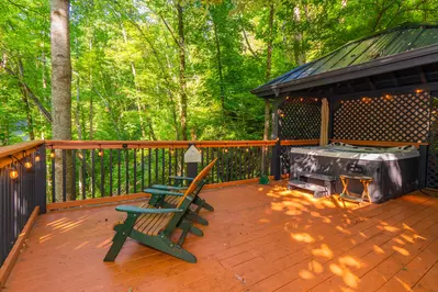 Treetop Dream 18