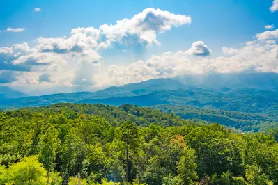 Amazing View Lodge 71