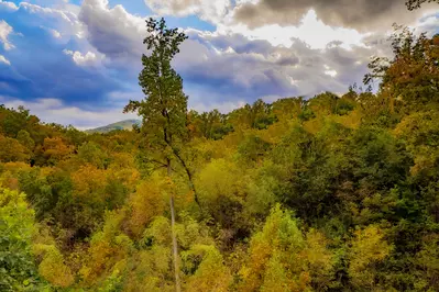 Gatlinburg Starry Night 29