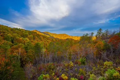 Paradise View In The Smokies 41