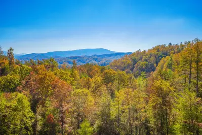 Smokies Overlook 48