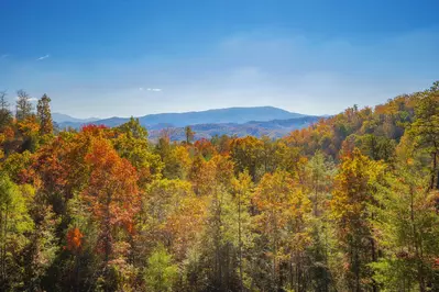Smokies Overlook 69