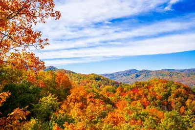 Views Of God's Country 73