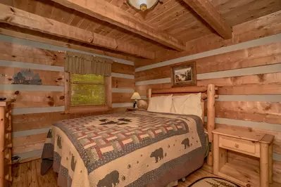 Bear Country 10