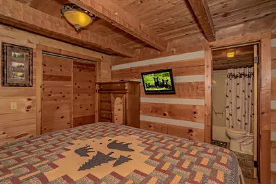 Bear Country 14