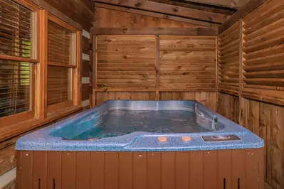 Bear Elegance 15