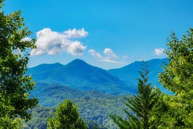 Gatlinburg Mountain Lodge 8