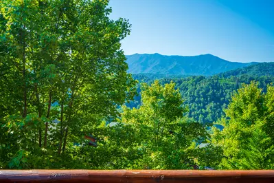 Gatlinburg Mountain Lodge 27
