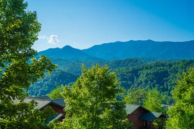 Gatlinburg Mountain Lodge 28