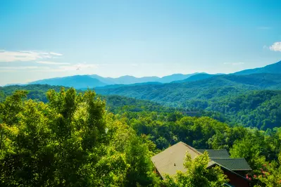 Gatlinburg Mountain Lodge 45
