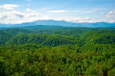 Pinnacle View Lodge 100