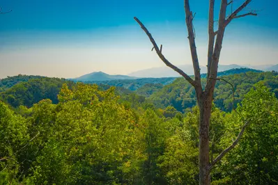 Summit Vista 20