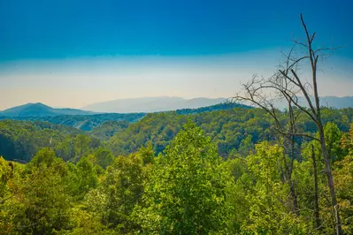 Summit Vista 21