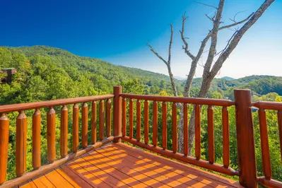 Summit Vista 27