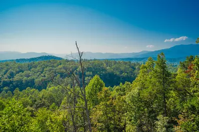 Summit Vista 28